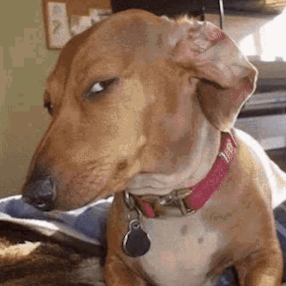 Meet your Posher, Morgan Tookers!